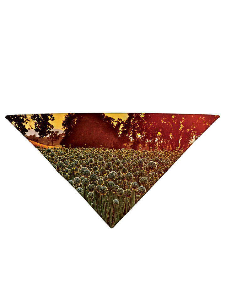 Dandy Patch Printed Bandana - GratefullyDyed - 2