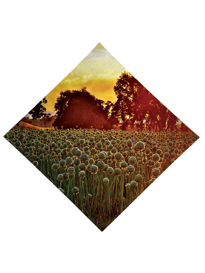 Dandy Patch Printed Bandana - GratefullyDyed - 3