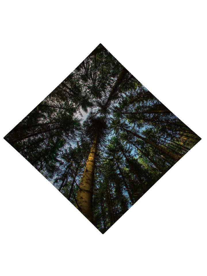 Out of the Woods Printed Bandana - GratefullyDyed - 3