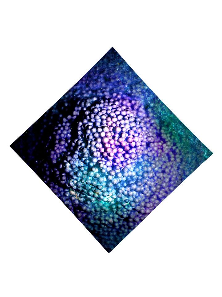 Blue and purple dots all over print bandana flat view