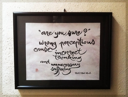 Introduction to Mindfulness and Mindsight