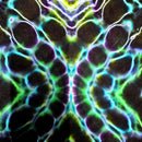 Abstract symmetrical digital artwork with glowing neon green, cyan, purple, and white cellular or bubble-like shapes on a black background.