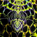 Abstract symmetrical artwork with glowing neon yellow and purple cellular or web-like lines on a black background.