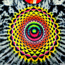 A close-up of a tie-dye t-shirt featuring a large, vibrant mandala pattern in the center with concentric circles and geometric shapes in neon yellow, green, blue, pink, red, and orange, surrounded by a black and white tie-dye burst.
