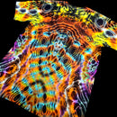 A short-sleeve crewneck t-shirt featuring a vibrant, psychedelic tie-dye pattern with concentric circles and wavy lines in neon orange, yellow, blue, purple, and black, shown against a solid black background.