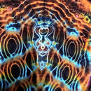 A close-up of a tie-dye fabric with a highly symmetrical, psychedelic pattern featuring glowing neon orange, yellow, blue, and white concentric shapes on a dark base.