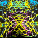 A close-up with a highly symmetrical, psychedelic pattern featuring neon yellow, green, blue, purple, and black in a wavy, cellular design.