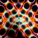 A close-up of a tie-dye pattern with a symmetrical, kaleidoscopic design featuring black, orange, red, and white circular and organic shapes.