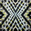 A close-up of a textured fabric or material pattern with a symmetrical, kaleidoscopic design featuring black, white, yellow, and gray tones.