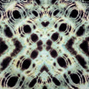 A close-up of a patterned fabric or material with a symmetrical, kaleidoscopic design featuring black circular spots and concentric rings on a pale mint green and cream background.