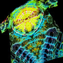 A short-sleeve t-shirt with an all-over psychedelic, high-contrast abstract pattern featuring bright yellow, cyan, green, and purple concentric wave-like designs on a black background.