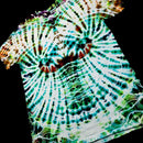A close-up of a tie-dye garment featuring a spiral pattern in vibrant green, teal, white, and brown, set against a solid black background.