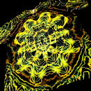 A close-up of a garment featuring a highly detailed, symmetrical neon yellow and green abstract pattern over a black base, with a small white label visible near the top.