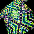 A close-up of a tie-dye patterned fabric, likely a sweatshirt or hoodie, featuring a vibrant neon design with lime green, yellow, purple, and blue tie-dye sections on a black background.