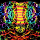 A close-up of a black garment covered in a vivid neon tie-dye pattern with mirrored rainbow stripes and circular cutout shapes in yellow, red, orange, green, blue, and purple.