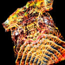 Angled back view of handmade tie-dye tee emphasizing the V spine-like symmetry and flowing electric dye textures
