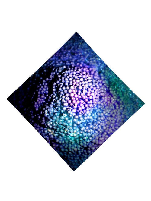 Blue and purple dots all over print bandana flat view
