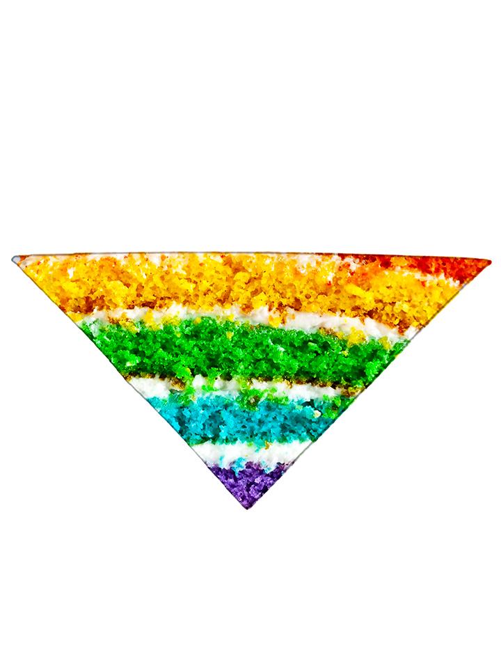 Diagonally folded psychedelic birthday foodie printed headband.