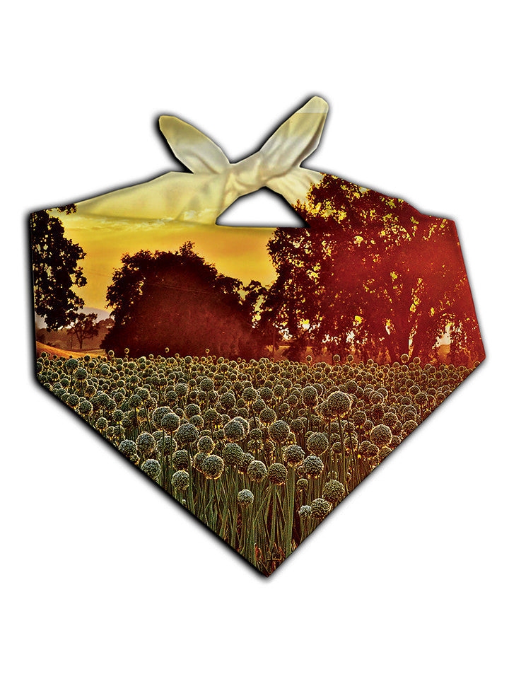 Dandy Patch Printed Bandana